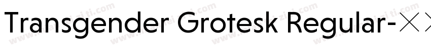 Transgender Grotesk Regular字体转换